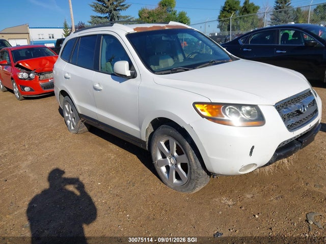 Продажа на аукционе авто 2007 Hyundai Santa Fe Se/limited, vin: 5NMSH73E07H048397, номер лота: 30075114