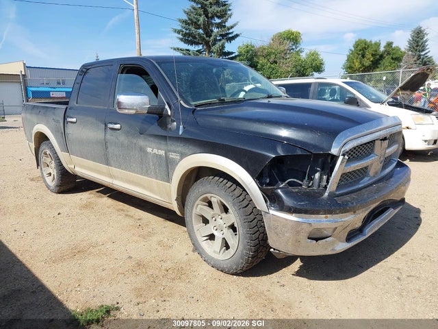 Продаж на аукціоні авто 2010 Dodge Ram 1500, vin: 1D7RV1CT7AS219165, номер лоту: 30097805