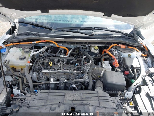 2025 Ford Escape მანქანა იყიდება აუქციონზე, vin: 1FMCU0E13SUA95213, აუქციონის ნომერი: 30098751