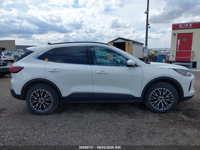 2025 Ford Escape მანქანა იყიდება აუქციონზე, vin: 1FMCU0E13SUA95213, აუქციონის ნომერი: 30098751
