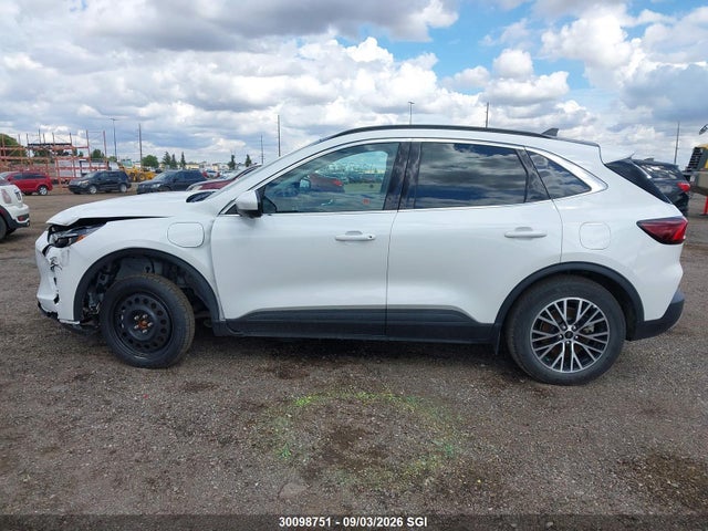 2025 Ford Escape მანქანა იყიდება აუქციონზე, vin: 1FMCU0E13SUA95213, აუქციონის ნომერი: 30098751