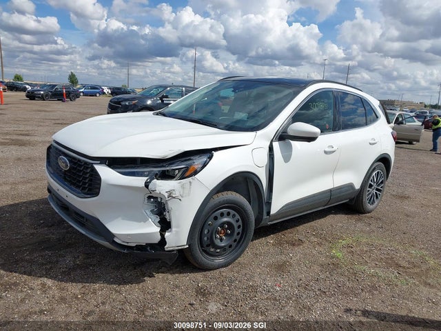 2025 Ford Escape მანქანა იყიდება აუქციონზე, vin: 1FMCU0E13SUA95213, აუქციონის ნომერი: 30098751