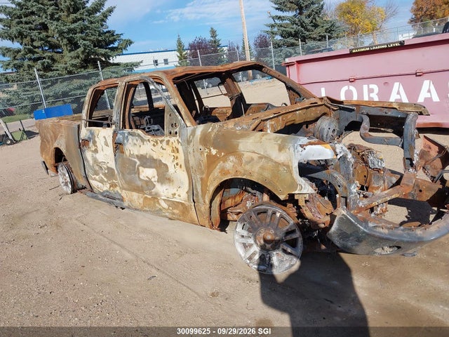 Aukcja sprzedaży 2009 Ford F150 Supercrew, vin: 1FTPW14V49FA22392, numer aukcji: 30099625