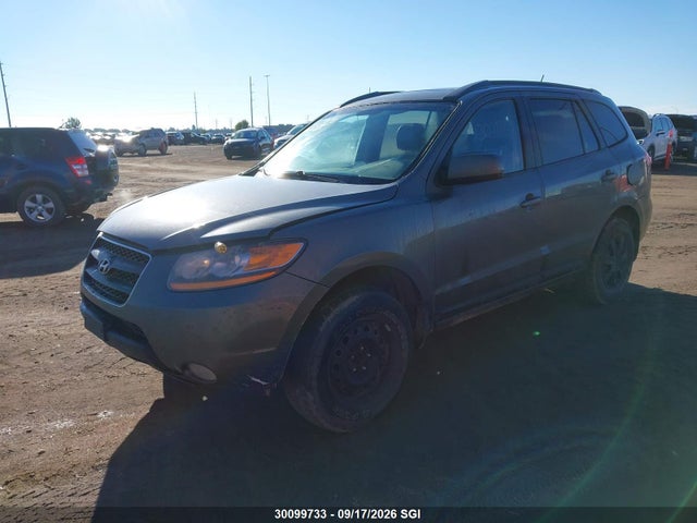 Aukcja sprzedaży 2009 Hyundai Santa Fe Gl, vin: 5NMSG13E69H327467, numer aukcji: 30099733