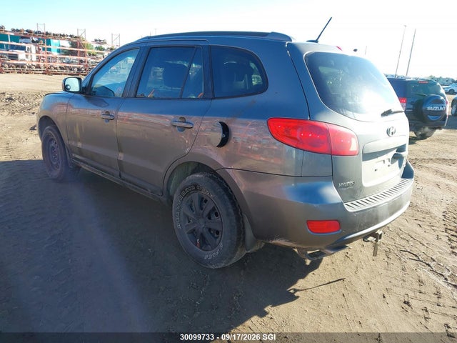 Aukcja sprzedaży 2009 Hyundai Santa Fe Gl, vin: 5NMSG13E69H327467, numer aukcji: 30099733