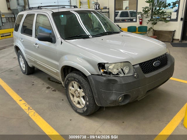 Продаж на аукціоні авто 2006 Ford Escape Limited, vin: 1FMYU94146KD12264, номер лоту: 30099738
