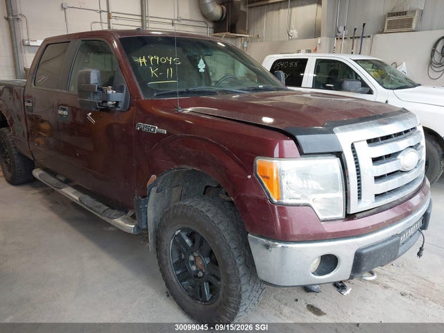 Продажа на аукционе авто 2009 Ford F150 Supercrew, vin: 1FTPW14V69FA21969, номер лота: 30099045