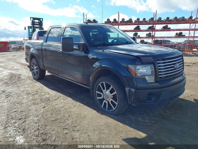 Aukcja sprzedaży 2010 Ford F150 Supercrew, vin: 1FTFW1EV4AFA15876, numer aukcji: 30099801
