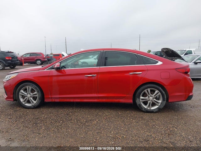5NPE34AF4JH608146 Hyundai Sonata Sport/limited/sel