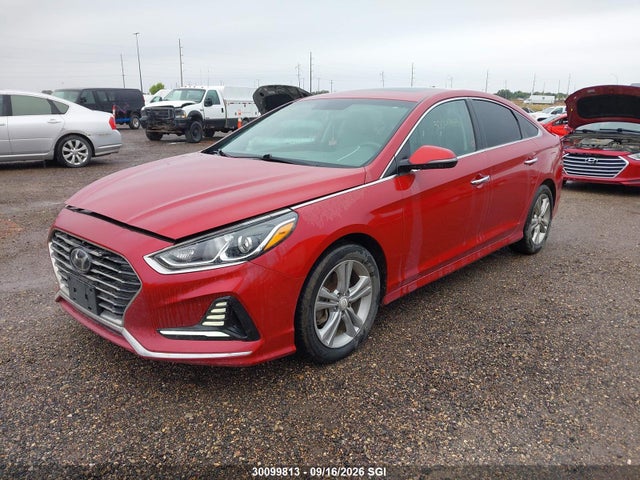 5NPE34AF4JH608146 Hyundai Sonata Sport/limited/sel