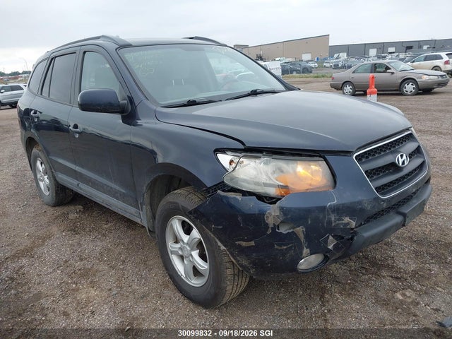 Aukcja sprzedaży 2009 Hyundai Santa Fe Gl, vin: 5NMSG13E39H245423, numer aukcji: 30099832