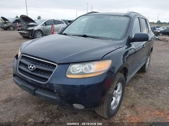 Aukcja sprzedaży 2009 Hyundai Santa Fe Gl, vin: 5NMSG13E39H245423, numer aukcji: 30099832