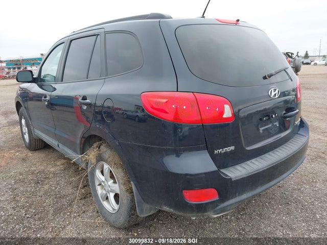 Aukcja sprzedaży 2009 Hyundai Santa Fe Gl, vin: 5NMSG13E39H245423, numer aukcji: 30099832