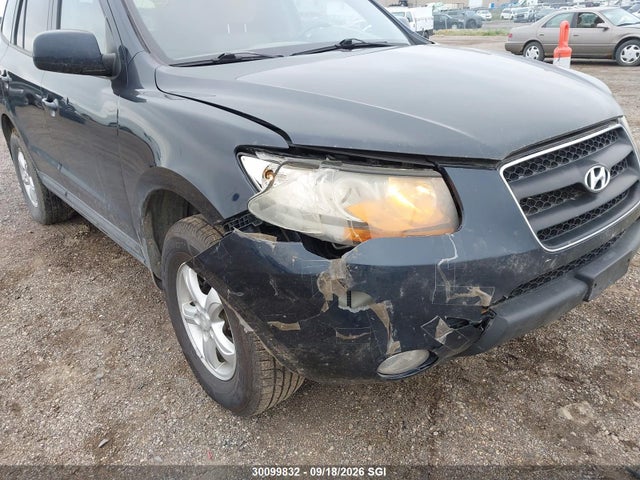 Aukcja sprzedaży 2009 Hyundai Santa Fe Gl, vin: 5NMSG13E39H245423, numer aukcji: 30099832