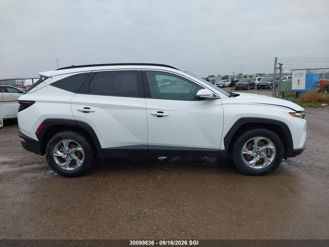 Hyundai TUCSON SEL 2022 KM8JCCAE9NU029449 Image 12