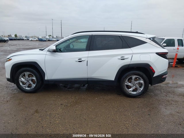 Hyundai TUCSON SEL 2022 KM8JCCAE9NU029449 Image 13