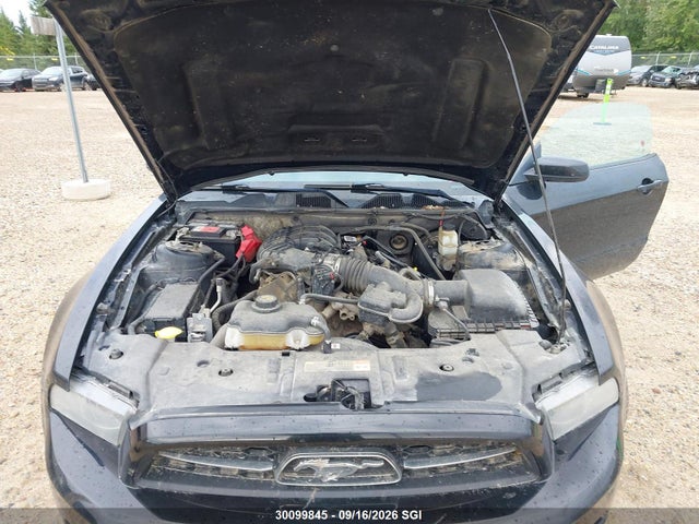 1ZVBP8AM6E5329569 Ford Mustang