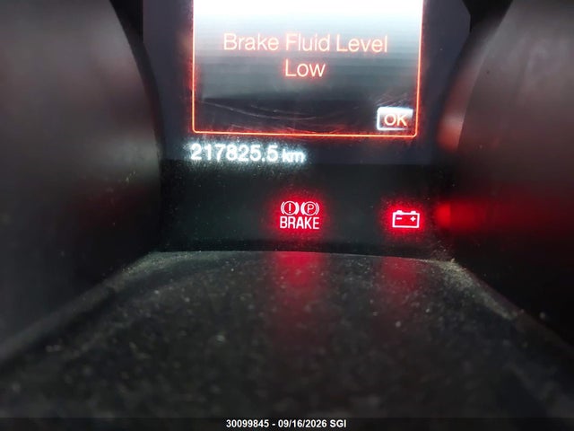 1ZVBP8AM6E5329569 Ford Mustang