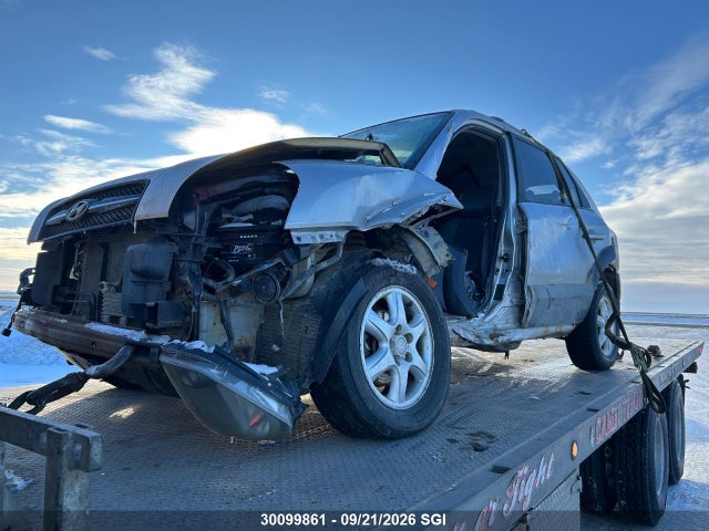 2005 Hyundai Tucson Gl მანქანა იყიდება აუქციონზე, vin: KM8JM72D65U164799, აუქციონის ნომერი: 30099861