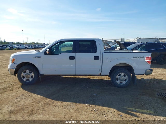 2013 Ford F150 Supercrew მანქანა იყიდება აუქციონზე, vin: 1FTFW1EF3DFC14950, აუქციონის ნომერი: 30095037