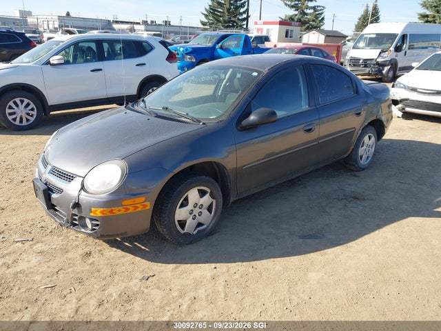 30092765 :رقم المزاد ، 1B3ES46C63D239009 vin ، 2003 Dodge Neon Sx 2.0 مزاد بيع