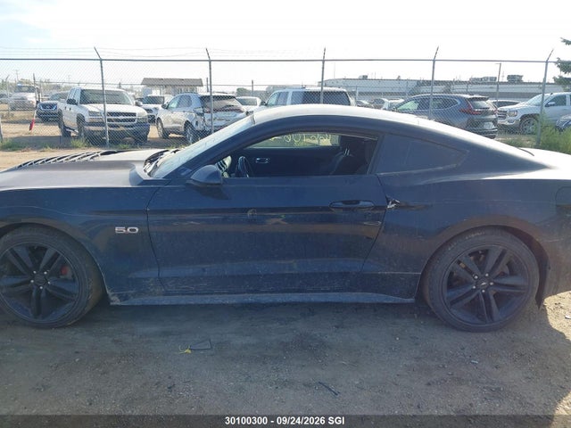 Продажа на аукционе авто 2016 Ford Mustang, vin: 1FA6P8AM0G5313915, номер лота: 30100300