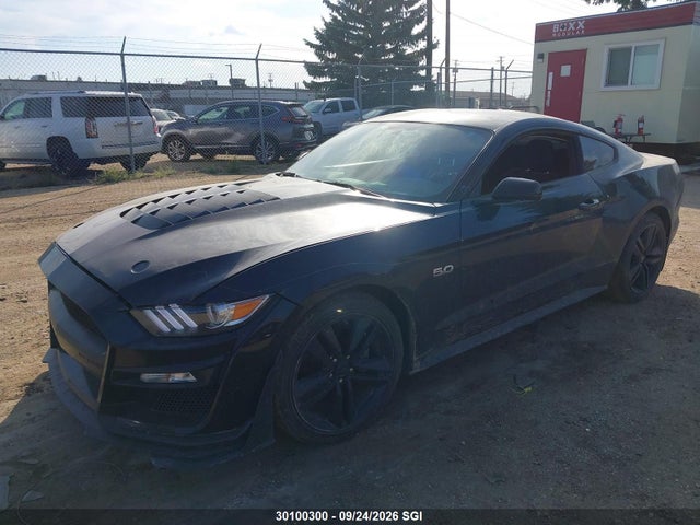 Продажа на аукционе авто 2016 Ford Mustang, vin: 1FA6P8AM0G5313915, номер лота: 30100300
