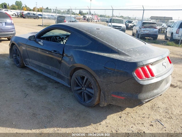 Продажа на аукционе авто 2016 Ford Mustang, vin: 1FA6P8AM0G5313915, номер лота: 30100300