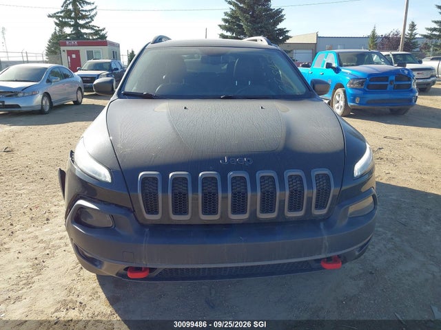 Aukcja sprzedaży 2016 Jeep Cherokee Trailhawk, vin: 1C4PJMBS4GW338459, numer aukcji: 30099486