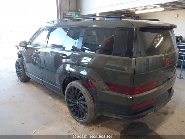 Hyundai Santa Fe Calligraphy 2024 5NMP5DGL0RH036372 Image 3