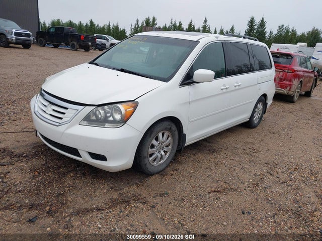 2009 Honda Odyssey Exl მანქანა იყიდება აუქციონზე, vin: 5FNRL386X9B500996, აუქციონის ნომერი: 30099559