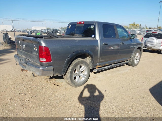 30099068 :رقم المزاد ، 1D7RV1CT2AS149235 vin ، 2010 Dodge Ram 1500 مزاد بيع