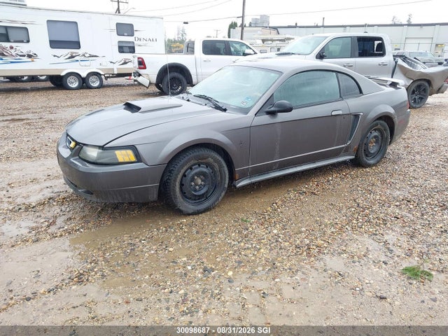 2003 Ford Mustang მანქანა იყიდება აუქციონზე, vin: 1FAFP404X3F397563, აუქციონის ნომერი: 30098687