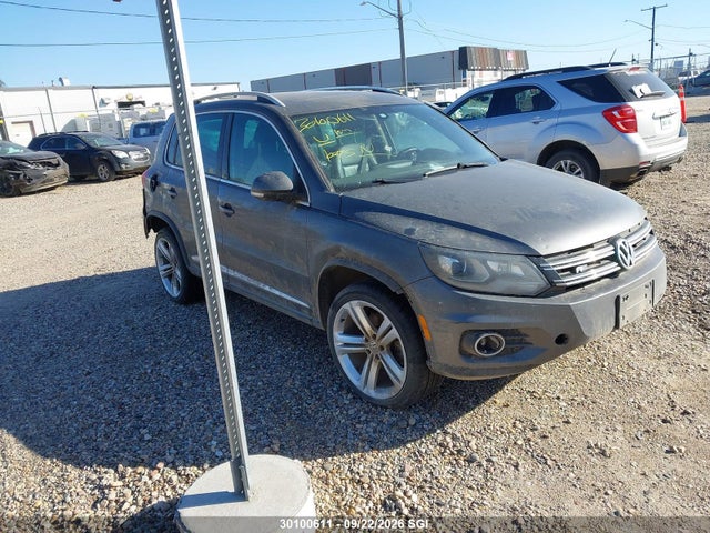 Продаж на аукціоні авто 2015 Volkswagen Tiguan S/se/sel/r-line, vin: WVGJV7AX6FW106044, номер лоту: 30100611