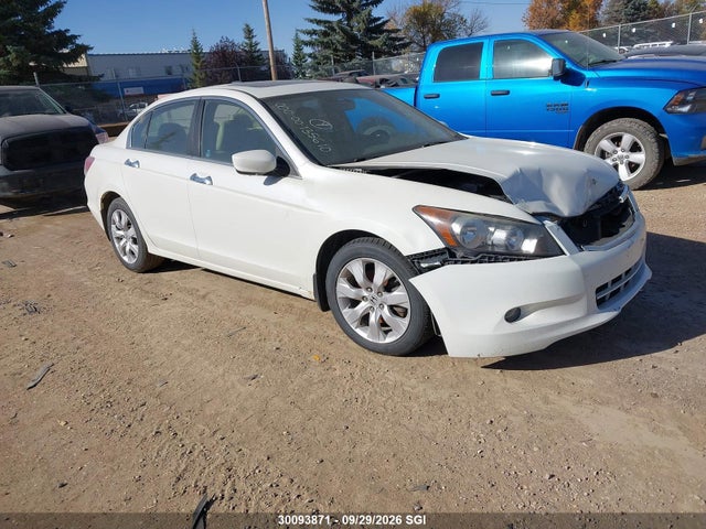 Продаж на аукціоні авто 2009 Honda Accord Ex-l V6, vin: 1HGCP36829A800783, номер лоту: 30093871