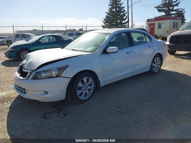 Продаж на аукціоні авто 2009 Honda Accord Ex-l V6, vin: 1HGCP36829A800783, номер лоту: 30093871
