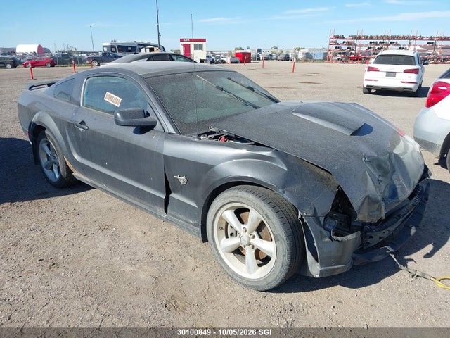Продажа на аукционе авто 2009 Ford Mustang Gt, vin: 1ZVHT82H995103006, номер лота: 30100849