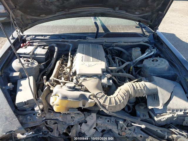Aukcja sprzedaży 2009 Ford Mustang Gt, vin: 1ZVHT82H995103006, numer aukcji: 30100849