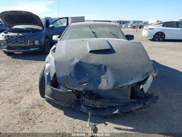 Aukcja sprzedaży 2009 Ford Mustang Gt, vin: 1ZVHT82H995103006, numer aukcji: 30100849