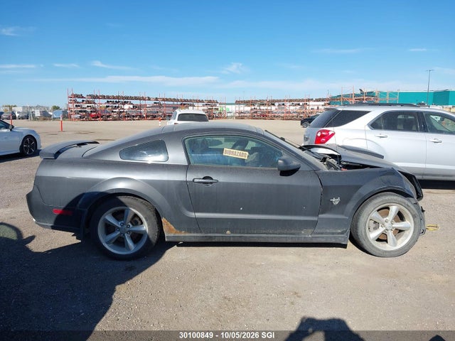 Aukcja sprzedaży 2009 Ford Mustang Gt, vin: 1ZVHT82H995103006, numer aukcji: 30100849