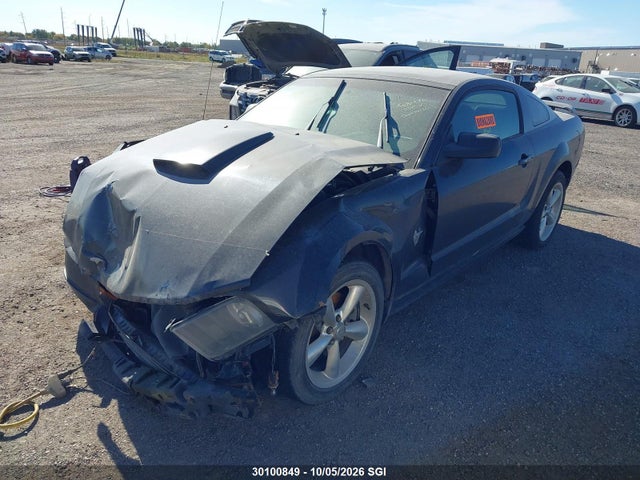 Aukcja sprzedaży 2009 Ford Mustang Gt, vin: 1ZVHT82H995103006, numer aukcji: 30100849