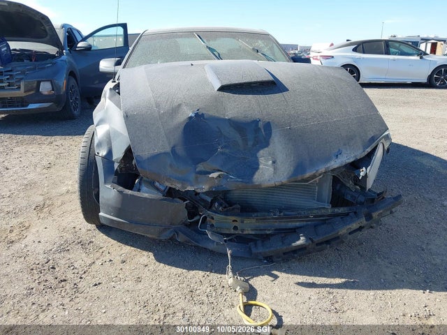 Aukcja sprzedaży 2009 Ford Mustang Gt, vin: 1ZVHT82H995103006, numer aukcji: 30100849