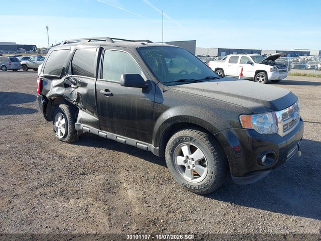 Auction sale of the 2012 Ford Escape Xlt, vin: 1FMCU9DG0CKA31024, lot number: 30101107