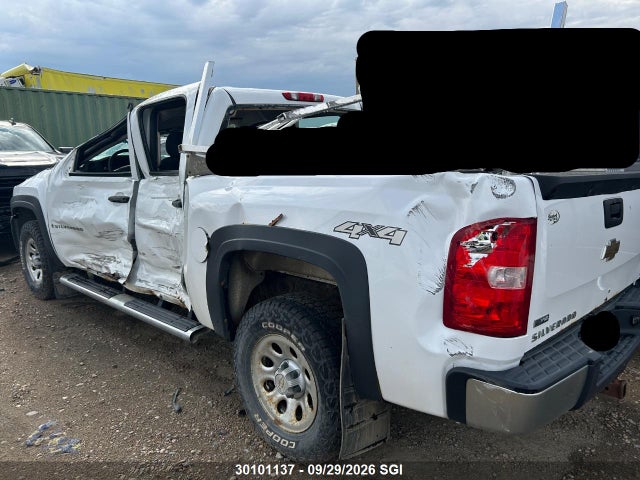 2009 Chevrolet Silverado K1500 მანქანა იყიდება აუქციონზე, vin: 3GCEK13339G177758, აუქციონის ნომერი: 30101137