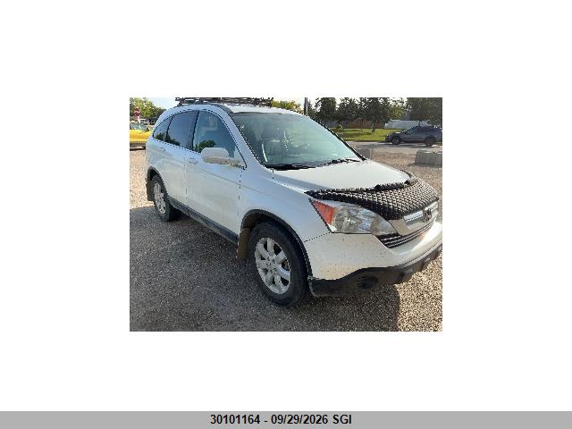 Aukcja sprzedaży 2007 Honda Cr-v Exl, vin: JHLRE48747C095644, numer aukcji: 30101164