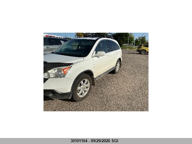 2007 Honda Cr-v Exl მანქანა იყიდება აუქციონზე, vin: JHLRE48747C095644, აუქციონის ნომერი: 30101164