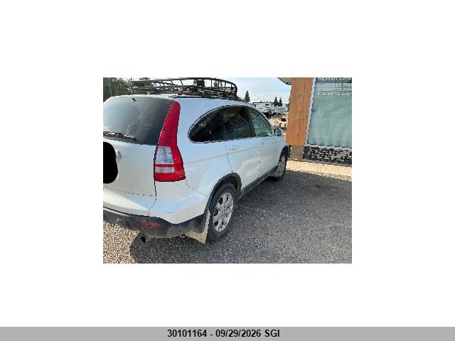 2007 Honda Cr-v Exl მანქანა იყიდება აუქციონზე, vin: JHLRE48747C095644, აუქციონის ნომერი: 30101164