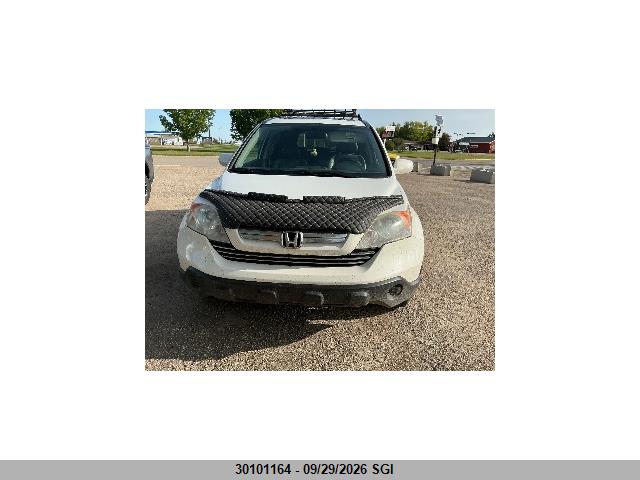 2007 Honda Cr-v Exl მანქანა იყიდება აუქციონზე, vin: JHLRE48747C095644, აუქციონის ნომერი: 30101164