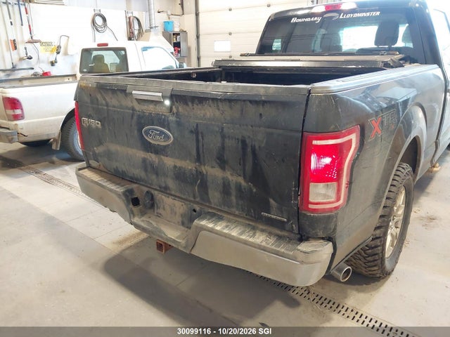Ford F150 Supercrew 2016 1FTFW1EF3GKF28495 Image 17