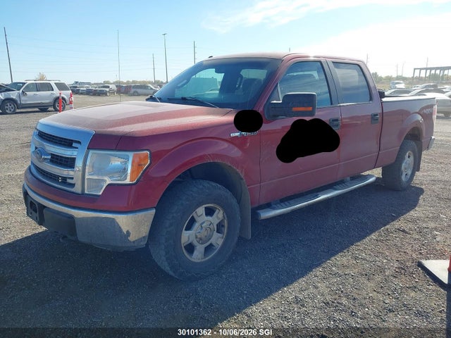 Aukcja sprzedaży 2013 Ford F150 Supercrew, vin: 1FTFW1EF5DFB61961, numer aukcji: 30101362